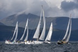 sundance of lorn 2573c halley 2932c mystic sun gbr7092 highland spirit gbr8283 green hackle 316c whyw25 sun 750_3596